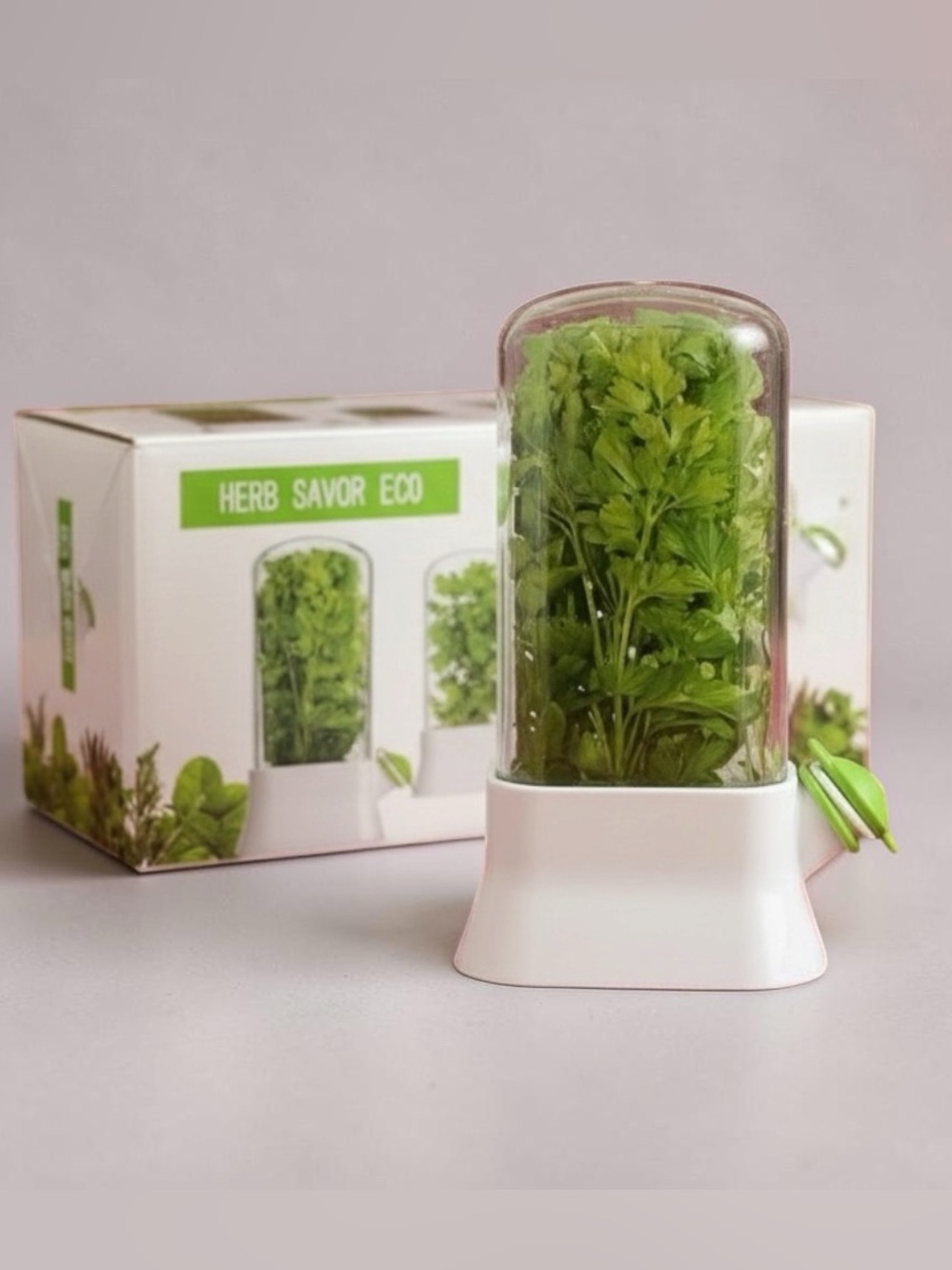 Herb Savor Eco Fresh Herb Keeper Storage Container Kitchen Saver - Picture 2 of 8